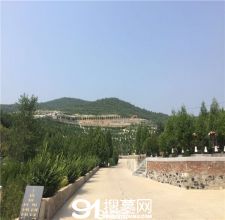 陵园风景图-2