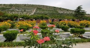 陵园风景图-6