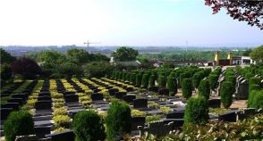 陵园风景图-6