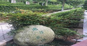 陵园风景图-10
