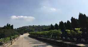 陵园风景图-6