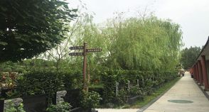 陵园风景图-10